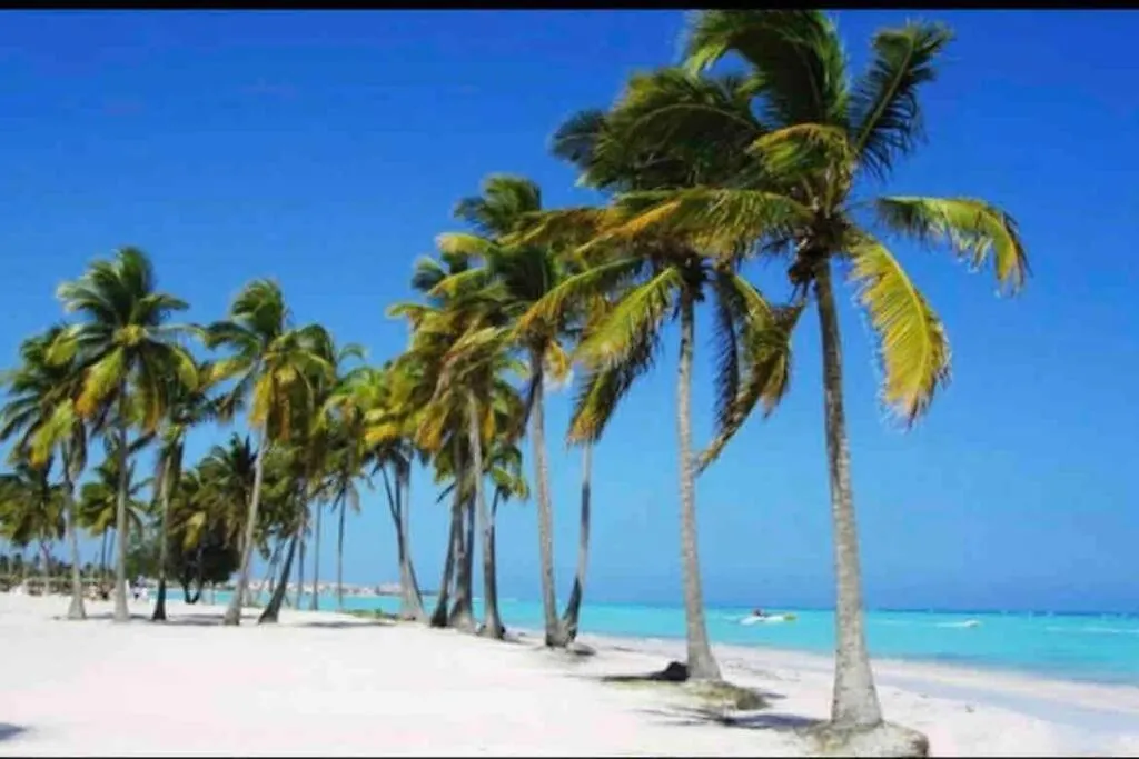Tanama Lodge, Building Mer, Ciudad Las Canas, Cap Cana, Punta Cana 0*,  Repubblica Dominicana
